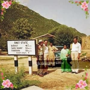 Meet your Posher, Ali